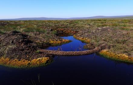 Photographs: North Pennines AONB Partnership and Martin Rogers.
