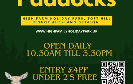The Paddocks