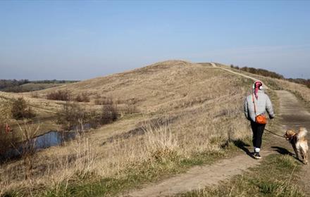 Woman walking with a dog at Dalton Park Parkland