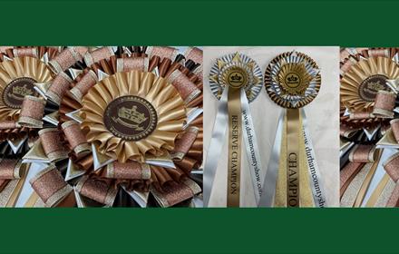 Rosettes from the Durham County Show