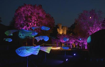 View of the illuminated walled garden at Raby Castle.