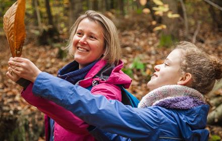 Two people looking at autumn leaves. Forestry England