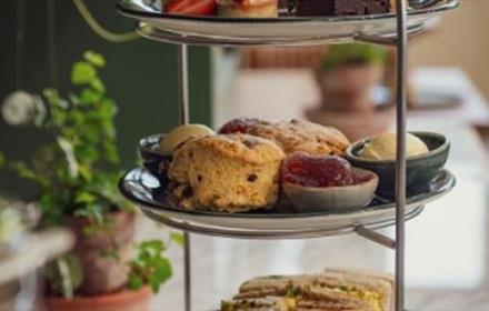 Festive afternoon tea at the Vinery Raby Castle