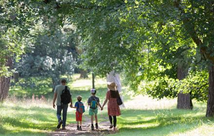 family walking hand in hand through the green lush trees at Auckland Castle Deer Park