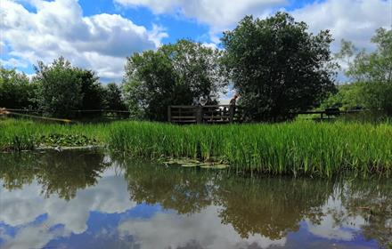 Aycliffe Nature Park