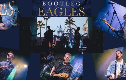 montage of photos of musicians in Bootleg Eagles