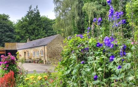 The Barn at Low Friarside Farm