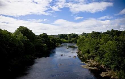 The River Tees