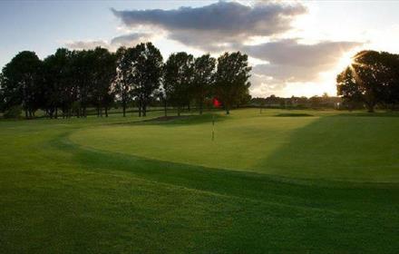 Image of the sun shining through the trees onto Blackwell Grange Golf Course.