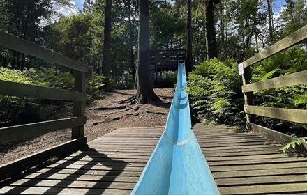 Blue slide at Broom House Forest Adventure.