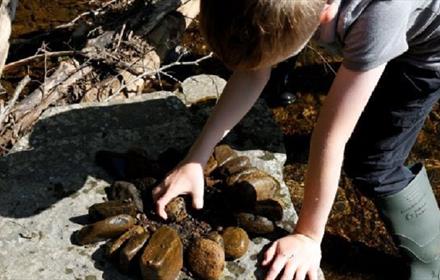 A child looking at fossils