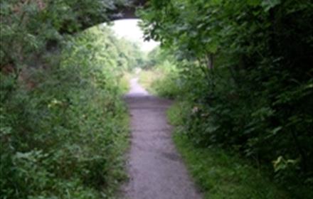 Cycle Path at Castle Eden