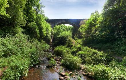 Causey Arch and Picnic Area