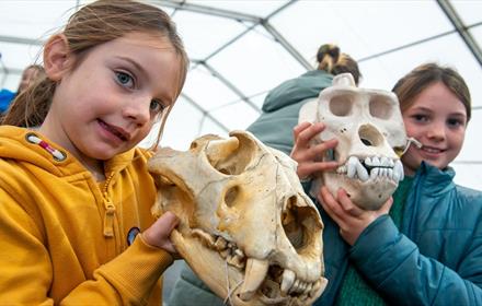 Children holding animal skulls