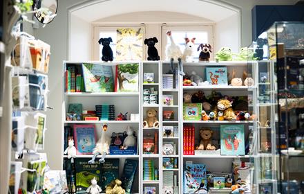 The inside of the shop with books, toys and cards on display.