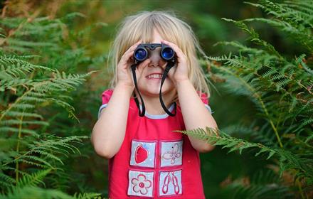 Small child looking through binoculars, surrounded by ferns