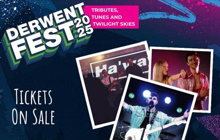 Derwent Fest 2025 poster displaying some of the acts