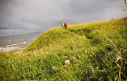 Beach banks at Horden