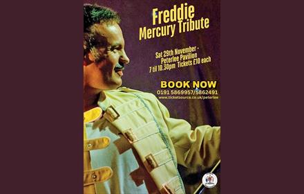 poster tribute night freddie mercury