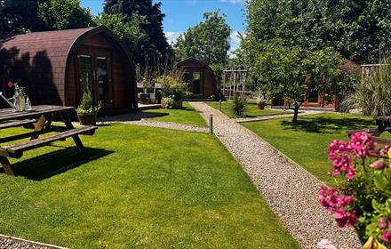 Camping pods, picnic bench, flowers