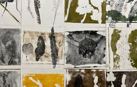 Print of leaves and plants