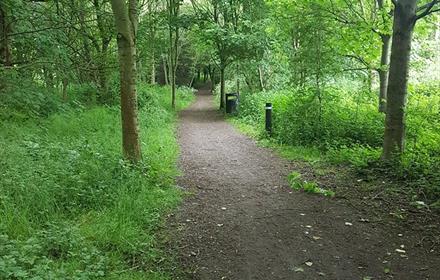 Great Aycliffe Way