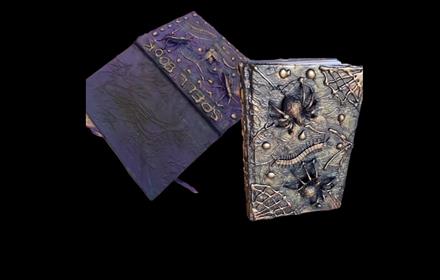 Two examples of a Grimmoire, one in purple, the other silver