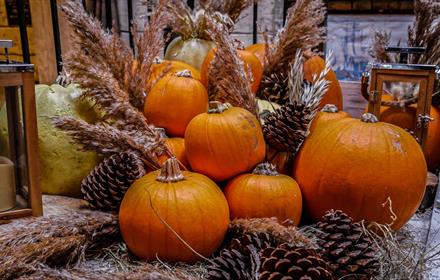 Halloween Pumpkins