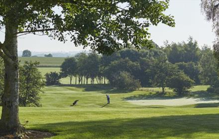 View of the golf course with a golfer in the distance. A sand bunker to the right and tree in the distance.