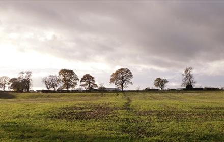 Countryside around Hunwick.