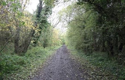 Hunwick country lane.