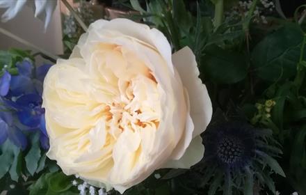 Image of beautifully arranged flowers.