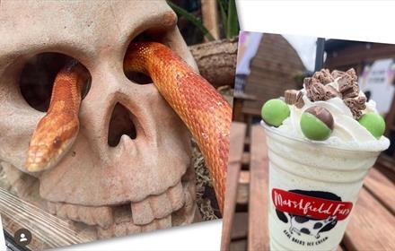 A skull with a snake and a milkshake