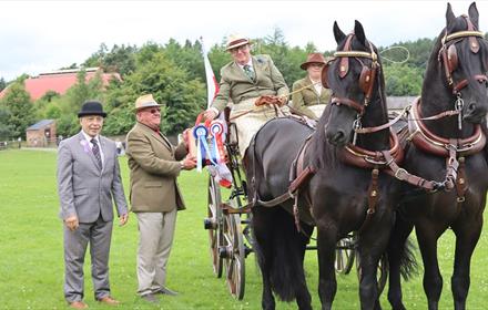 People sitting in a carriage drawn by two beautiful black horses at Beamish Museum