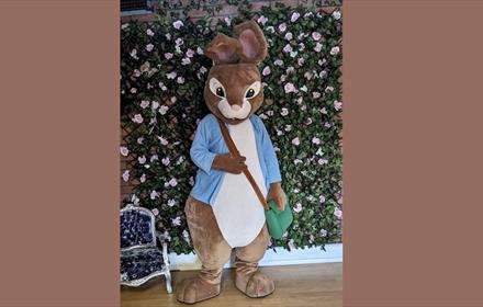 Peter Rabbit character