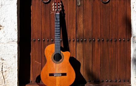 A guitar standing against a wooden door.