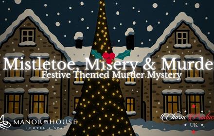 coloured painting of the Manor House in the snow with a Christmas Tree in cartoon style