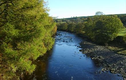 River Tees