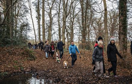 Image of a group of people on a New Year's Day dog walk at South Causey Inn.