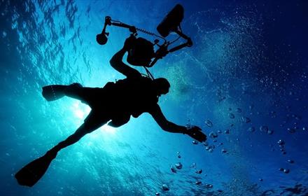 a diver under the surface of the ocean