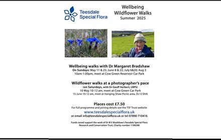 Poster advertising walking events, image of the Blue Gentian and the guide with details of walks.