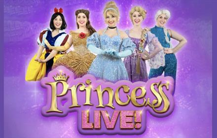 5 princesses against purple background