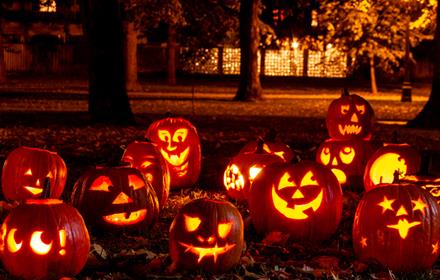 Halloween pumpkins on autumn leaves at night. Trees in distance.