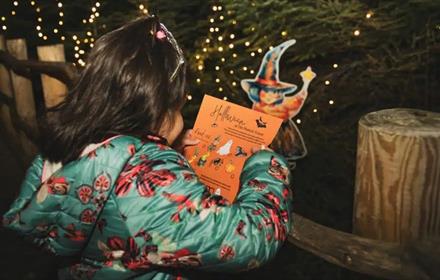 Child looking at the Halloween trail in the Plotters' Forest at Raby Castle