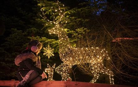 A child sitting beside an illuminated reindeer on the Enchanted Christmas Trail.