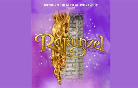 Rapunzel flowing hair and castle tower