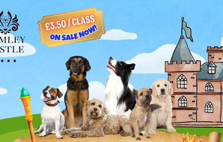 six dogs with a cartoon painting of Lumley Castle in the background