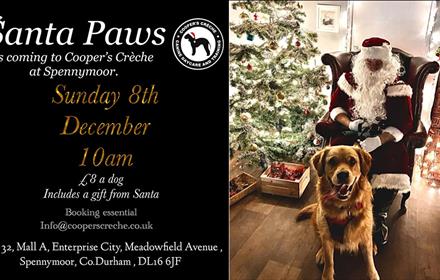 Santa Paws event details Santa and dog sitting near Christmas Tree