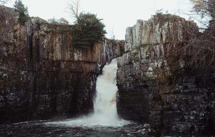 High Force Half Term Spring Safari