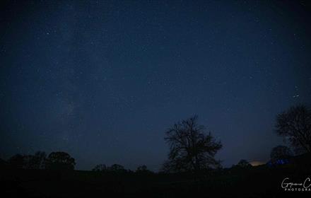 A dark starry sky.